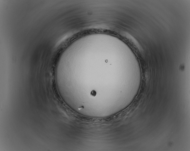 X0000094321064200711241802
