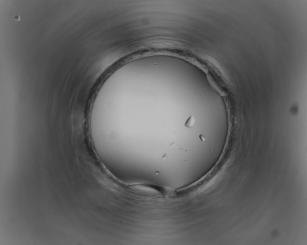 X0000094321065200711241802