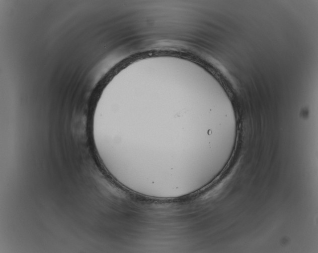 X0000094321066200711241802