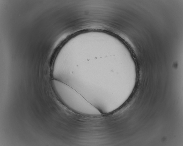X0000094321067200711241802
