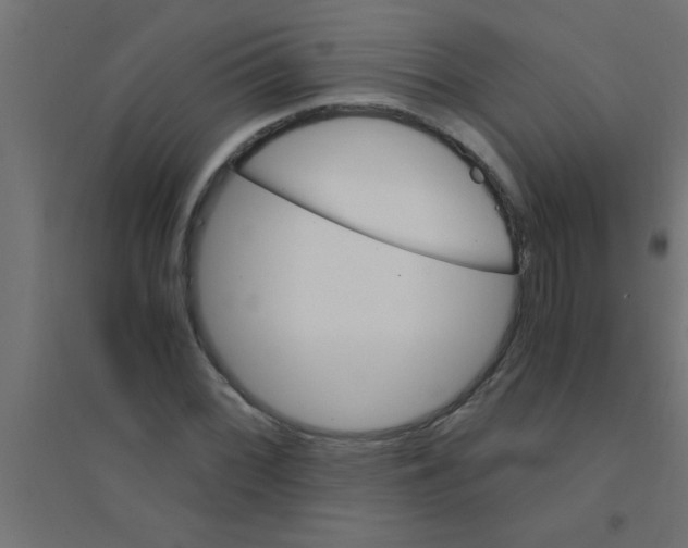 X0000094321068200711241802