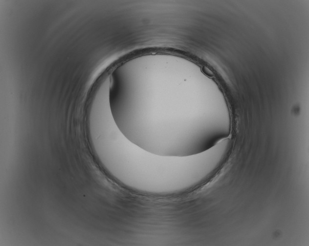 X0000094321069200711241802