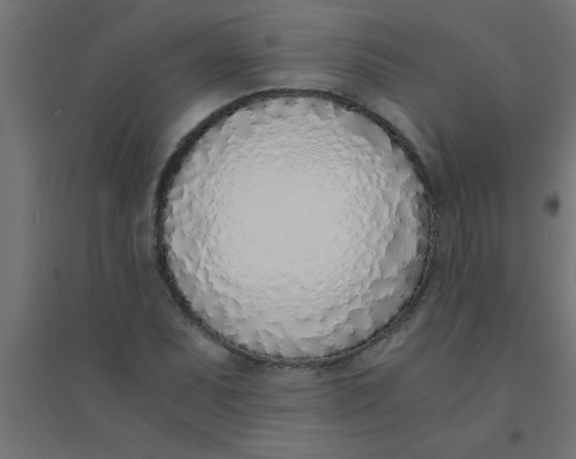 X0000094321071200711241802