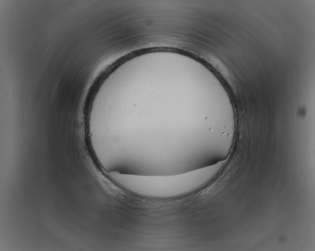X0000094321072200711241802