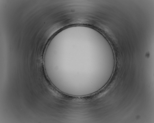X0000094321073200711241802