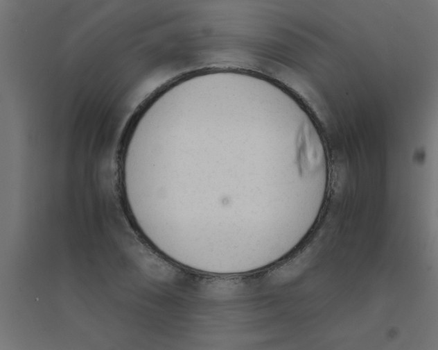 X0000094321074200711241802