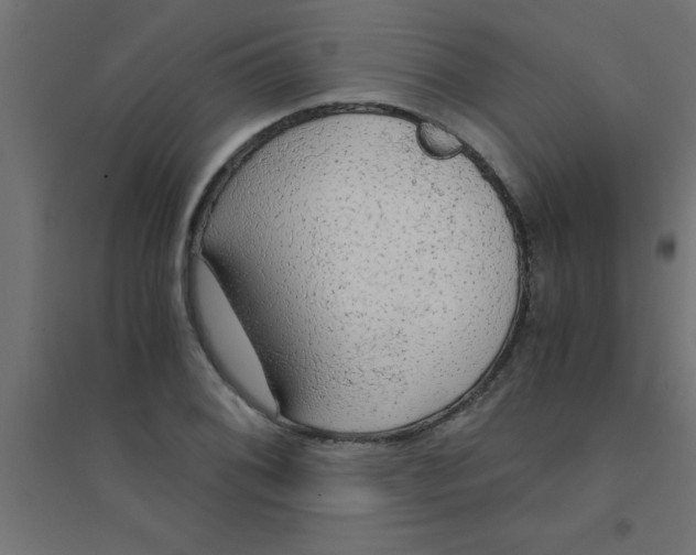 X0000094321076200711241802