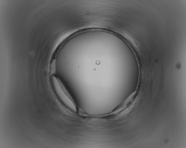 X0000094321077200711241802