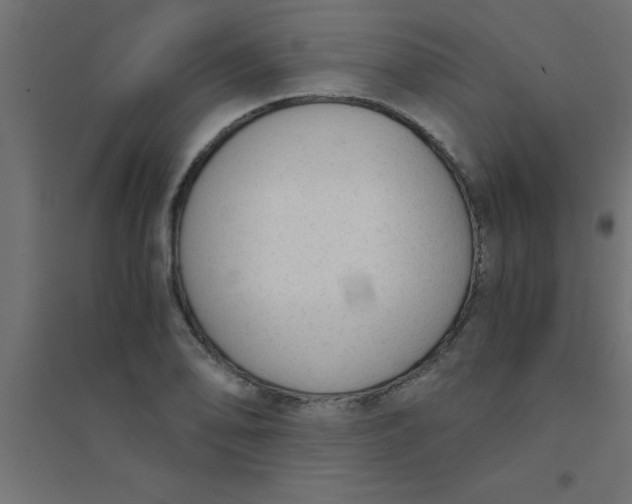 X0000094321078200711241802