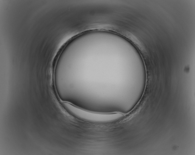 X0000094321079200711241802