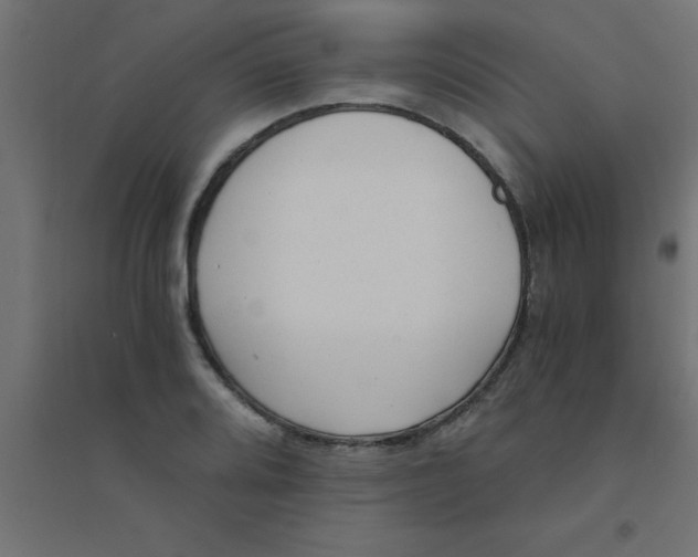 X0000094321080200711241802