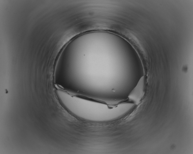 X0000094321081200711241802