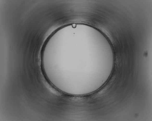X0000094321082200711241802