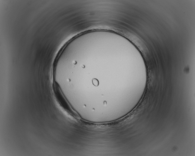 X0000094321084200711241802