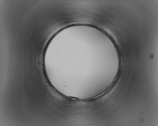 X0000094321085200711241802