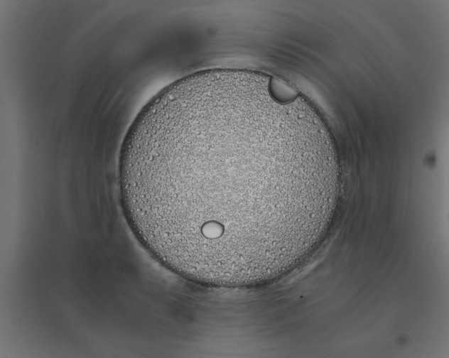 X0000094321087200711241802