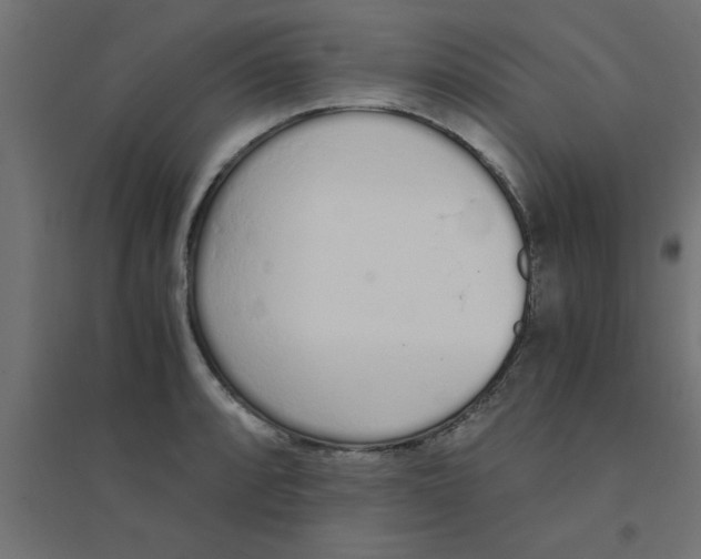 X0000094321088200711241802