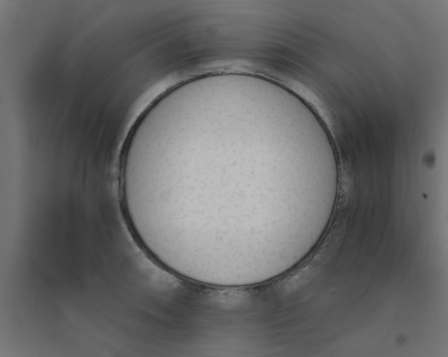 X0000094321090200711241802