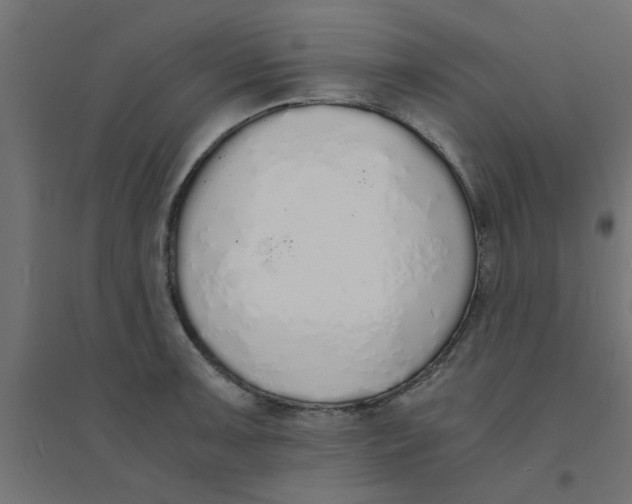 X0000094321091200711241802
