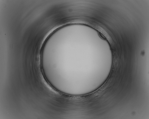 X0000094321092200711241802