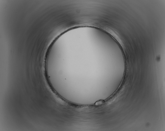 X0000094321093200711241802