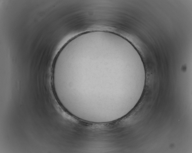 X0000094321094200711241802