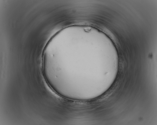 X0000094321095200711241802
