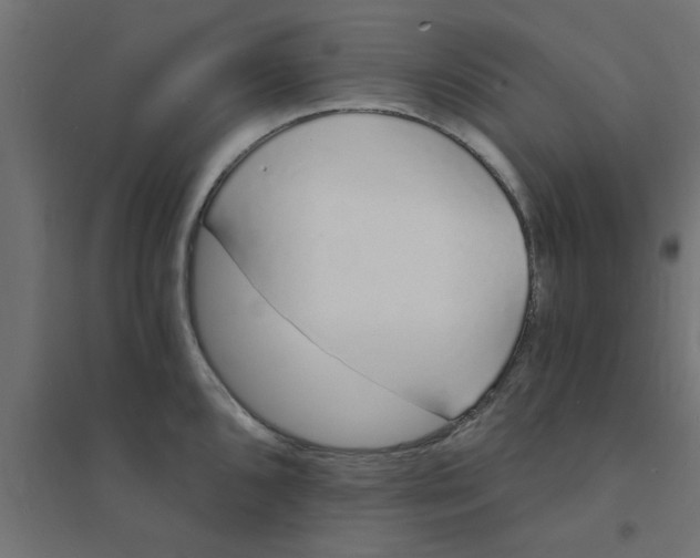 X0000094321096200711241802