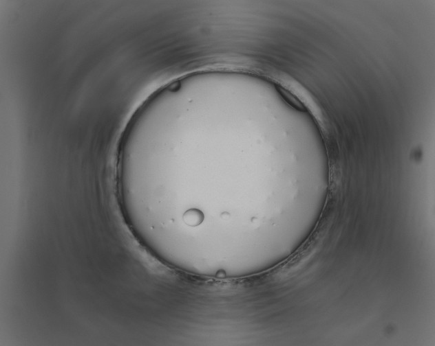 X0000094321099200711241802