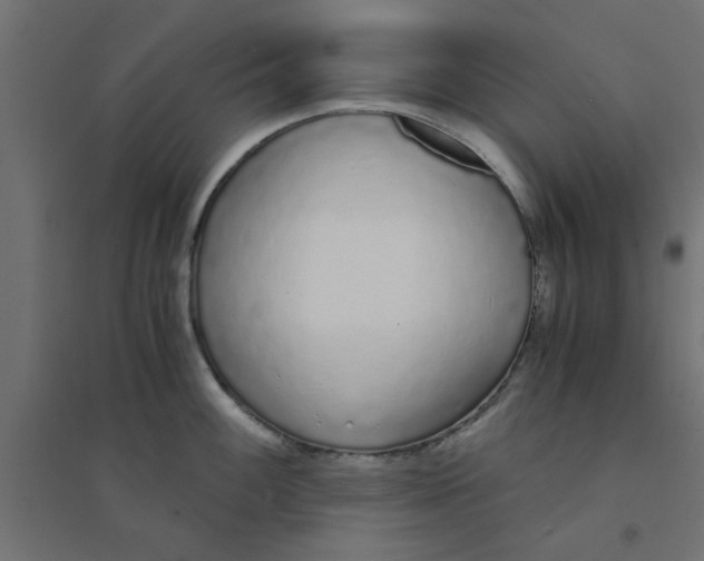 X0000094321100200711241802