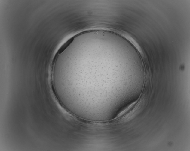 X0000094321101200711241802