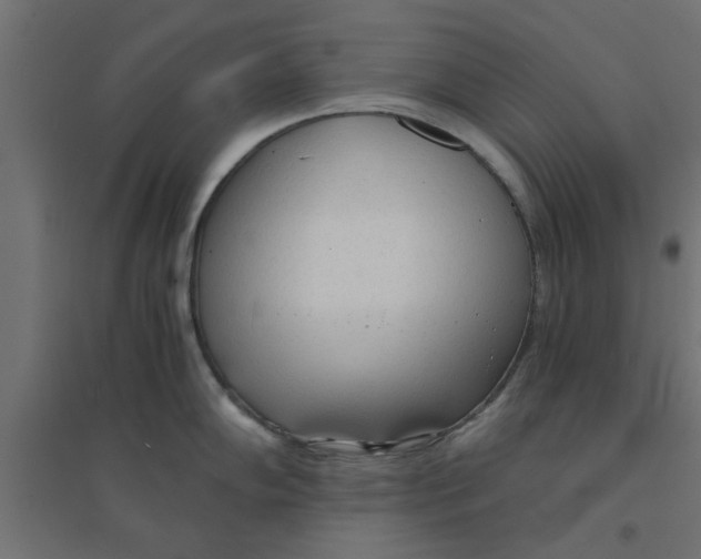 X0000094321102200711241802