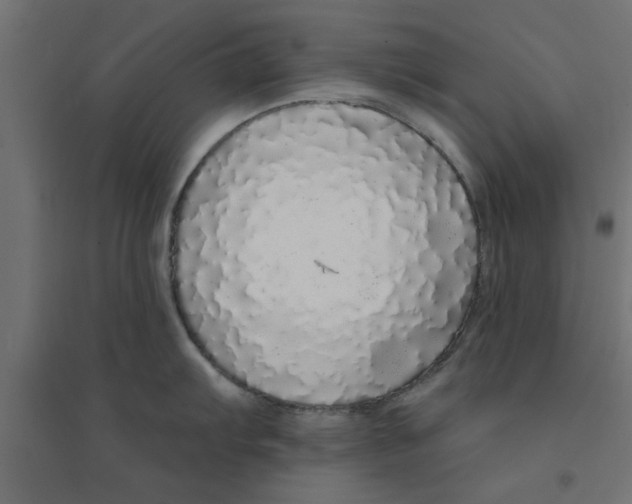 X0000094321103200711241802