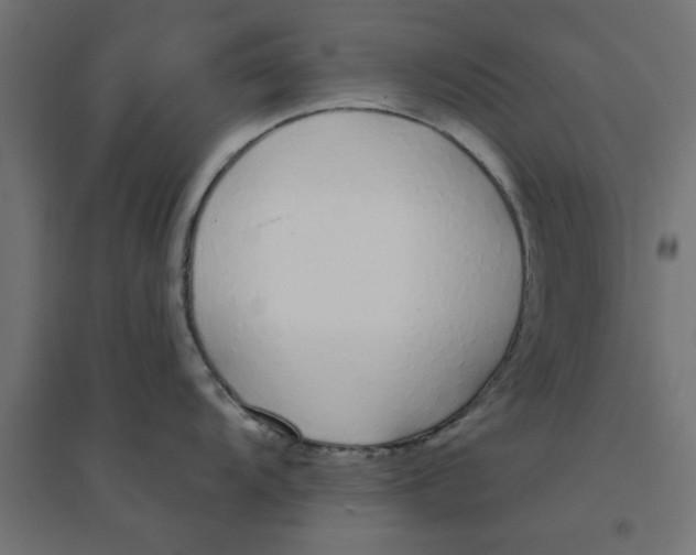 X0000094321104200711241802