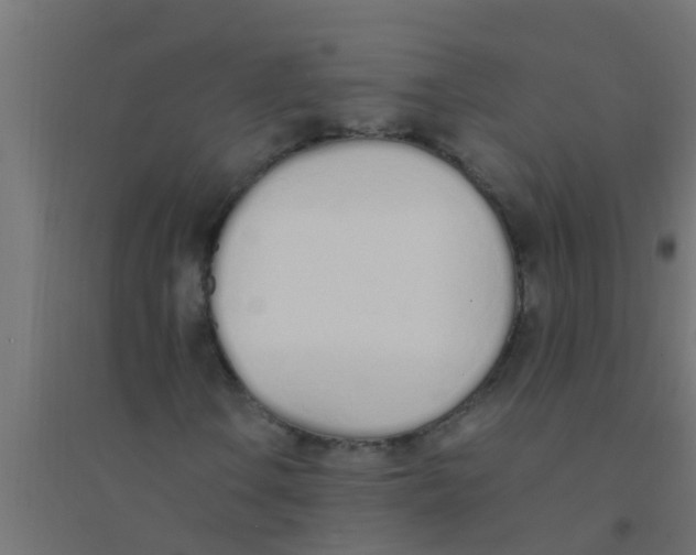X0000094321106200711241801