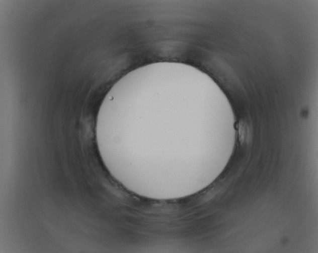 X0000094321107200711241801