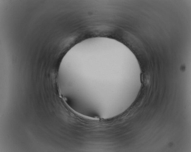 X0000094321108200711241801