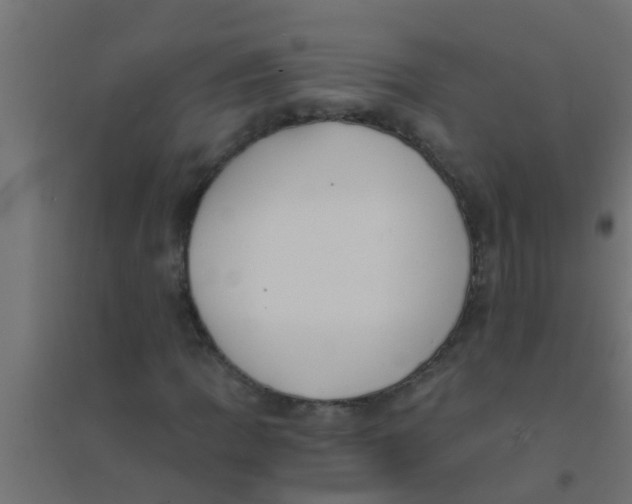 X0000094321109200711241801