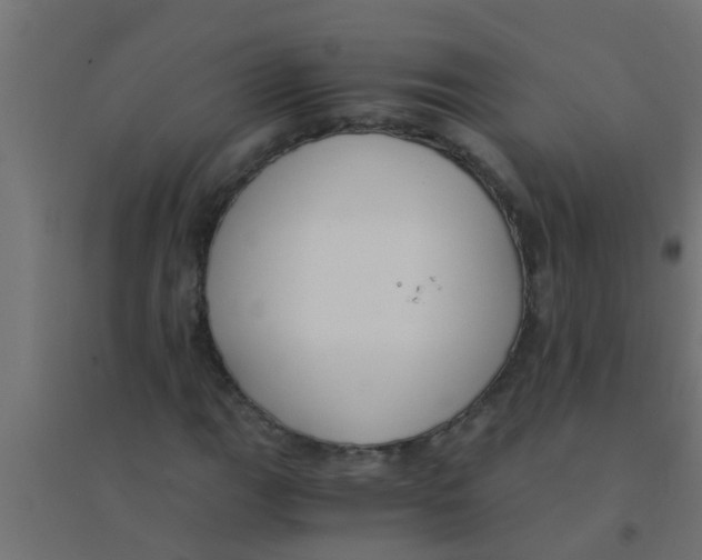 X0000094321111200711241801
