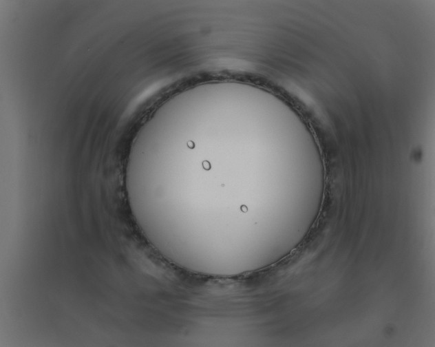 X0000094321112200711241801
