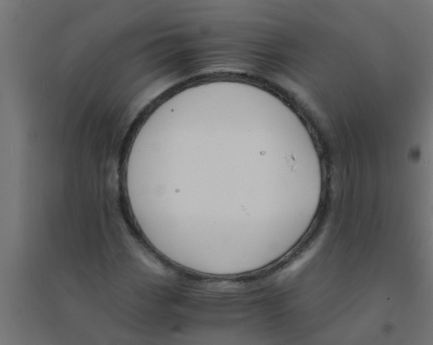 X0000094321113200711241801