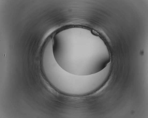 X0000094321114200711241801