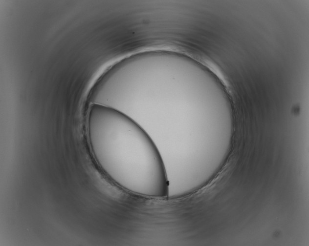 X0000094321116200711241801