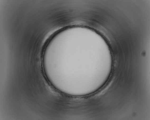 X0000094321117200711241801