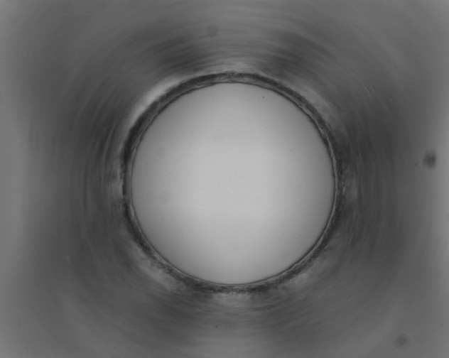 X0000094321118200711241801