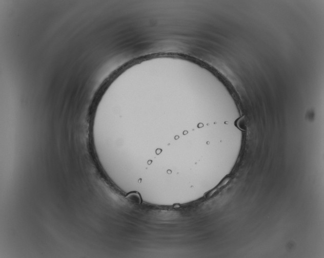 X0000094321119200711241801