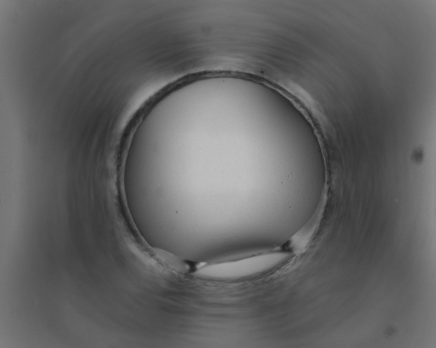 X0000094321120200711241801