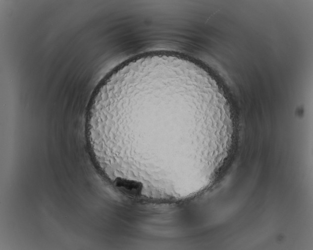 X0000094321121200711241801