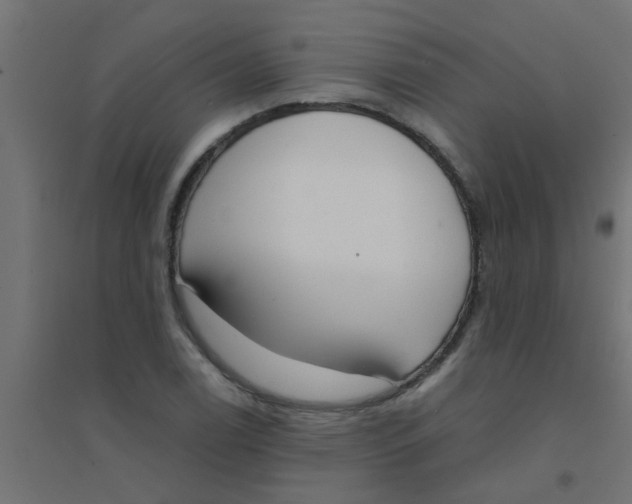 X0000094321122200711241801