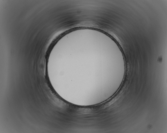 X0000094321123200711241801